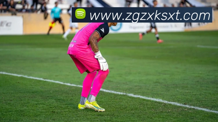 买球官方APP 高清赛事图